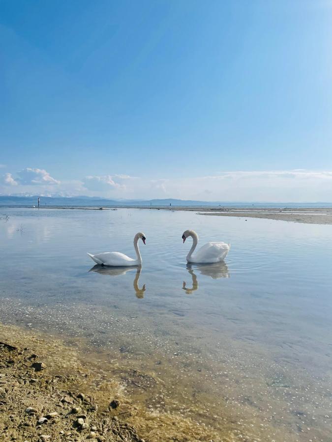 " Sunshine Am See " FDH Exteriér fotografie